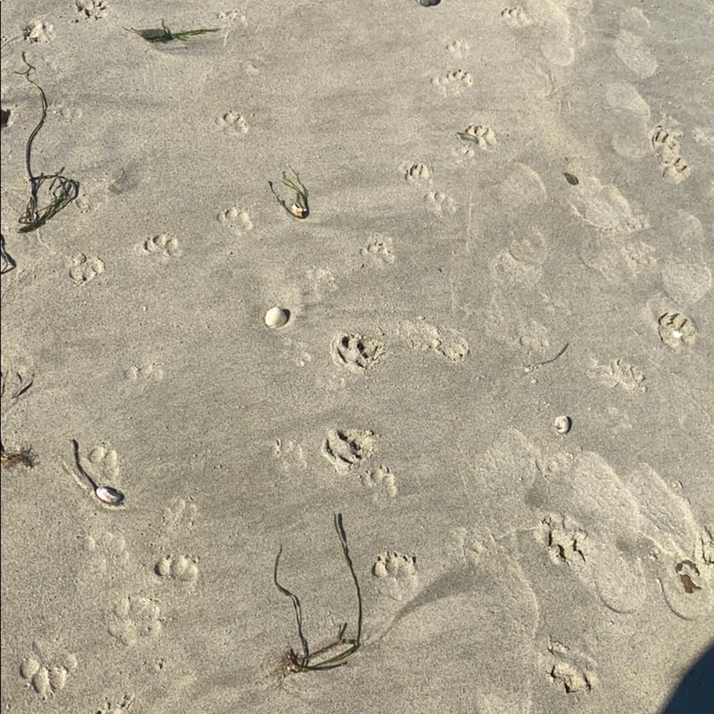 Meet your Posher, Katherine